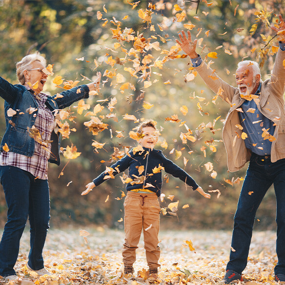 Fit de herfst in