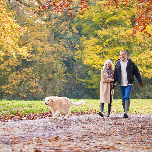 Herfstwandelingen